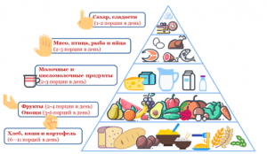 Пирамида питания ребёнка от 1 до 4 лет
