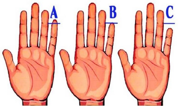 Что длина вашего пальца говорит о вашей личности?