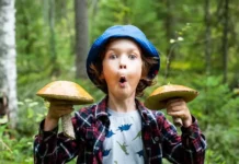 Когда ребенку можно начинать есть грибы?