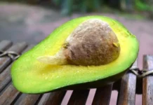 12 лучших пищевых афродизиаков